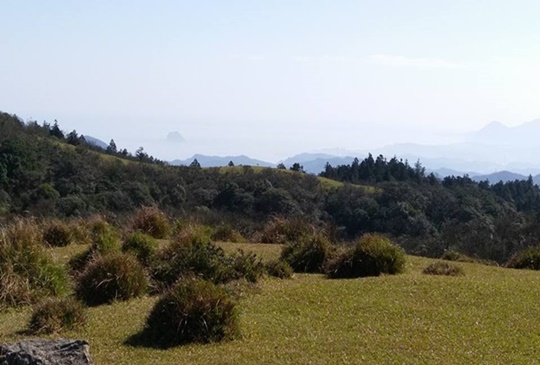 【台北。陽明山】東西大縱走（三）