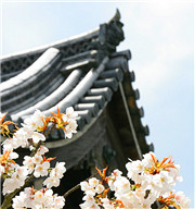 【京都】宿坊夯選擇：在日式寺廟住一晚