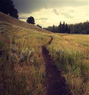 旅行 - 能不能說走就走