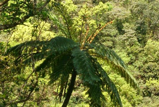 【宜蘭】礁溪溫泉之外的秘境：林美石磐步道