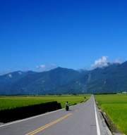 228連續假期去哪玩？盤點國內外春遊景點好去處！