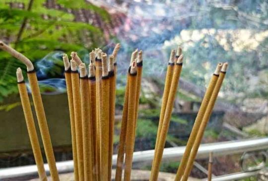 【越南．高台寺】信仰與包容的境地