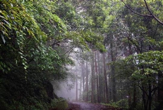 【新竹】尖石小旅行，來去瞄鴛鴦谷瀑布群