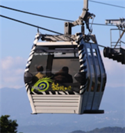 春節一日遊 『杏』福暢遊台北貓空