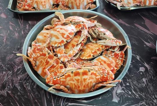 秋蟹季節到！ 富基魚港各式海鮮出籠