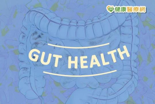 益生菌可提升免疫力？　腸胃科醫師突破盲腸
