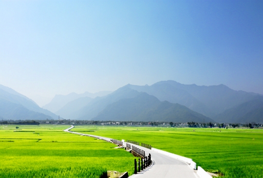 來趣台東走讀大地藝術季，池上官方限定行程！【稻米學堂ｘ農村旅遊 x 縱谷大地藝術季ｘ池上趴趴走】