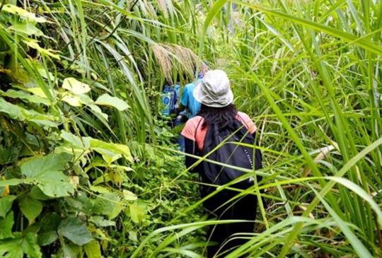 古道控，照過來！【宜蘭】莎韻之路的南澳古道行
