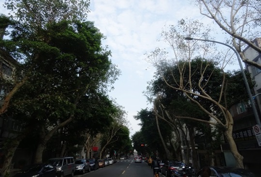 【台北市‧松山區】三個小景點讓外國朋友發現台北