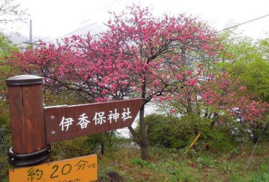 【日本】伊香保：悠遊夏綠楓紅的群馬縣名湯勝地