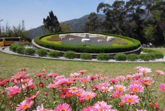 【走進台北的大花園】陽明山賞櫻看花‧健行賞心‧吃美食過一個好悠哉的一天！
