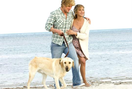 有愛同住，最平凡的家庭也能幸福滿溢－《馬利與我》