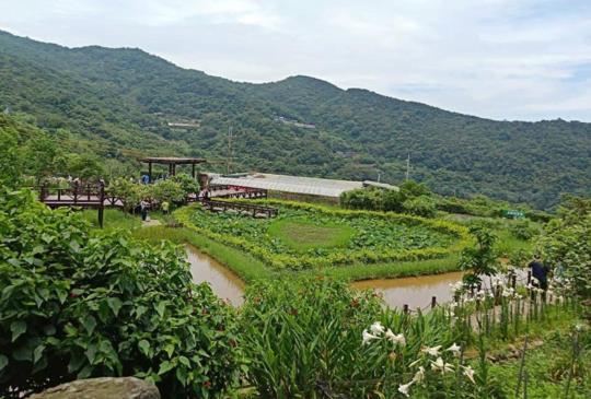 【古剎鳴蟬清泉流】內湖碧山巖步道輕鬆遊