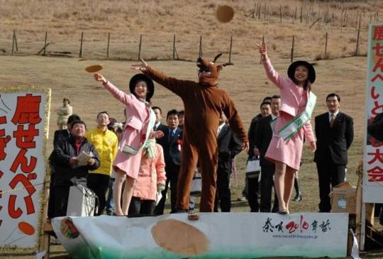 【奈良】春日樂趣：體驗限定版的在地文化慶典
