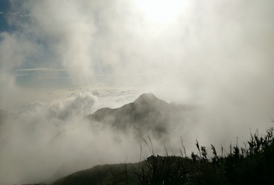 【台北。陽明山】東西大縱走(一)