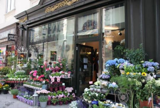 【奧地利】不可錯過的音樂與藝術之都「維也納」