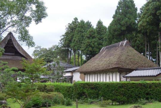 請問芳名美麗島【日本佐渡島】海中的世界遺產