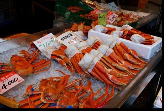 【日本】秋遊城崎溫泉泡7種湯，大啖松葉蟹