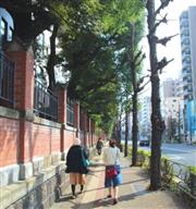 發掘你不知道的【東京】！3間隱藏版排隊美食