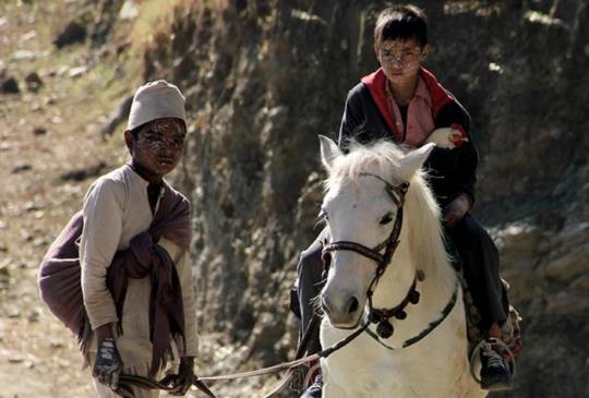 打破社會階級的界限，讓我們一起來《尋找奇雞》