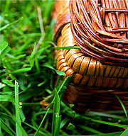 春日漫遊宜蘭：精選蘭陽平原三大野餐地點