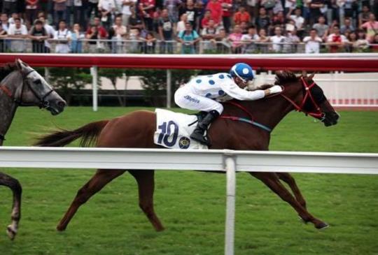 變身一日香港人！ 體驗道地的4項日常活動