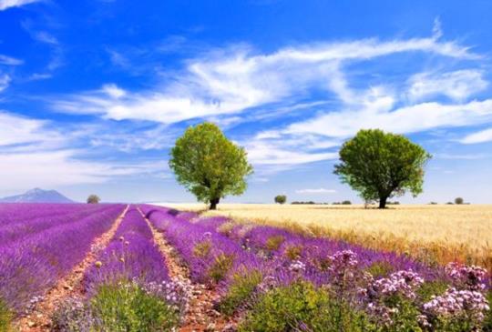 【快筆記！不去會後悔的全球十大國家城市】