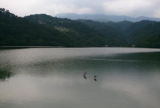 【宜蘭】礁溪的後花園－龍潭湖美麗秘境大蒐秘