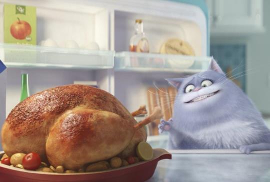 《寵物當家》——流浪動物大搶戲