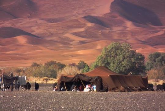 【守護撒哈拉沙漠的美麗】