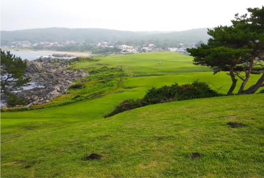 【日本青森八戶。種差海岸】美景如畫，碧草如毯的種差海岸
