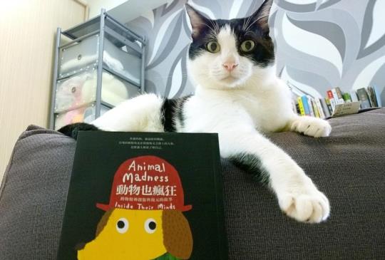 《動物也瘋狂》動物能夠教導我們的，其實非常多