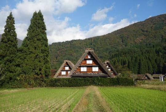 一生必訪一次的美麗童話世界： 白川鄉【合掌村】