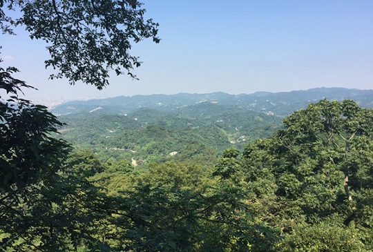 【台中】大坑山：三條步道走進台中郊外
