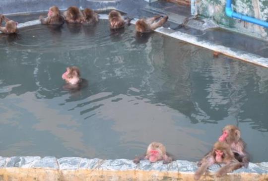 【北海道】函館，湯之川必訪景點大公開