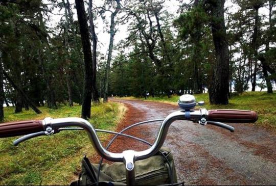 【日本】暢遊日本絕美三景之一「天橋立」