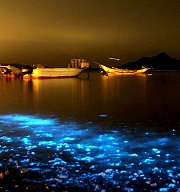 季節限定：到【馬祖】醉倒在浪漫藍眼淚中