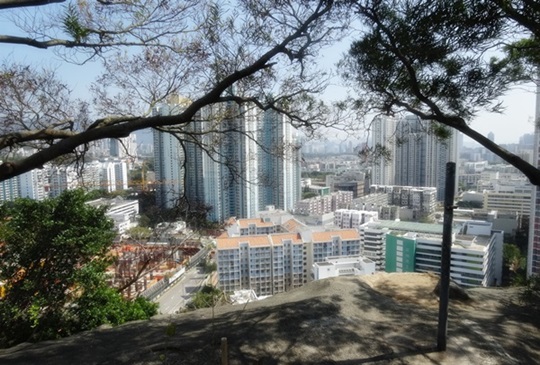 【香港】近眺九龍島：從南昌走近深水埗