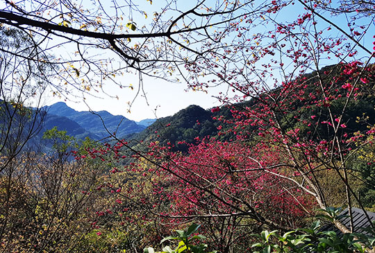 【離開都市夾縫，感受藍天綠地其實很近！與美景共享一場自然美饌】
