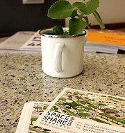 【空間分享】為台北市打造創意都市空間