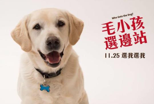 【《毛小孩選邊站》史上最萌撫養權爭奪戰】