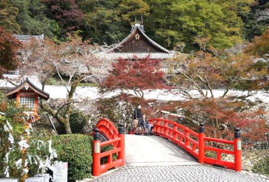 大阪另一種玩法：小資女高貴卻不貴的溫泉鄉之旅