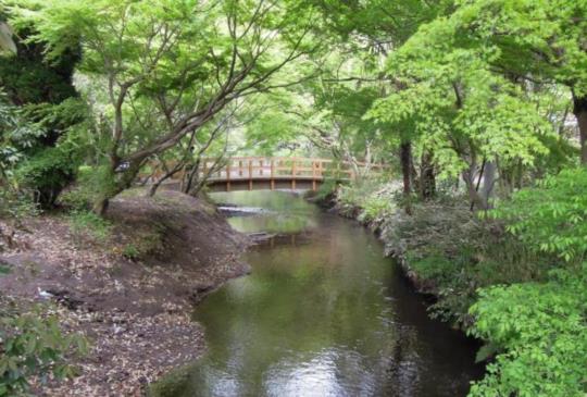 【日本】漫遊古典溫泉小鎮：徜徉湯布院的優雅風情