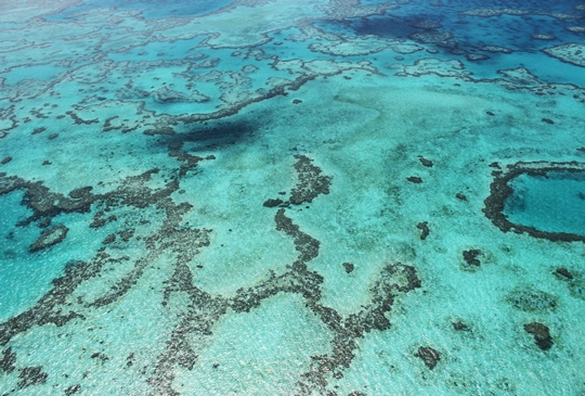 【澳洲】最美夢幻白色天堂：聖靈群島