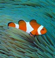 到台灣，不可錯過的十大體驗