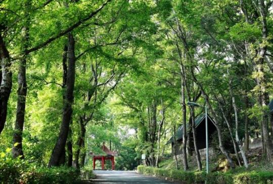 【台灣經典小鎮】你不知道的東勢小鎮，一起體驗採果、大地餐桌！