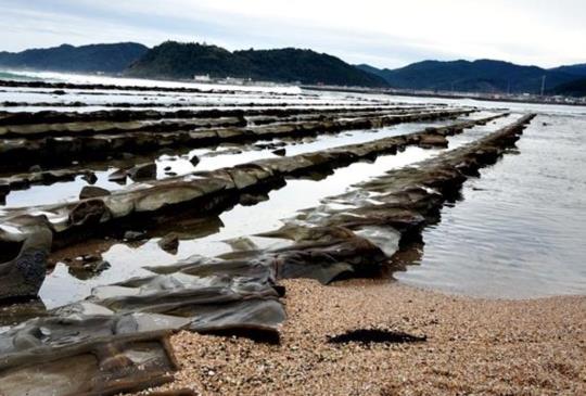 南九州鬼斧神工奇景！【宮崎】日南海岸線之旅