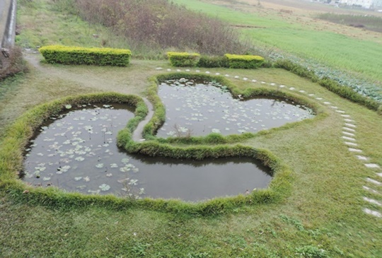 【彰化‧大村】隱藏於葡萄的故鄉「大村」的小景點