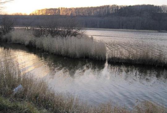【日本】感受北海道的冬季自然之美