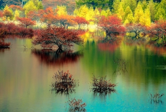 日本楓景特集：探秘日光12大夢幻紅葉景點